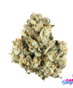 Berry Pie Strain